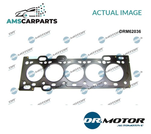 Engine cylinder head gasket - cylinder,