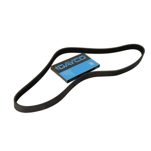 Dayco day6pk1650 ribbed belt - dayco, v-ribbed