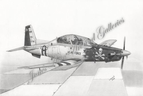 Texan the pilot - t-6c,