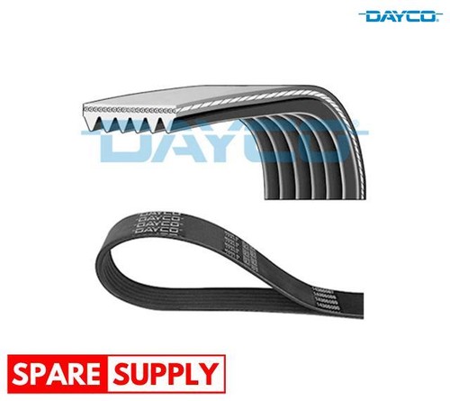 Ribbed belts for dacia - v-ribbed,
